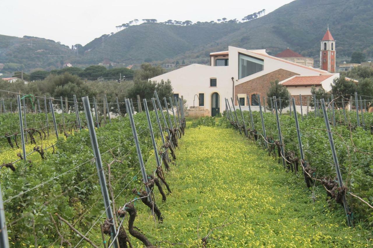 Tenuta Rasocolmo Messina Exteriér fotografie