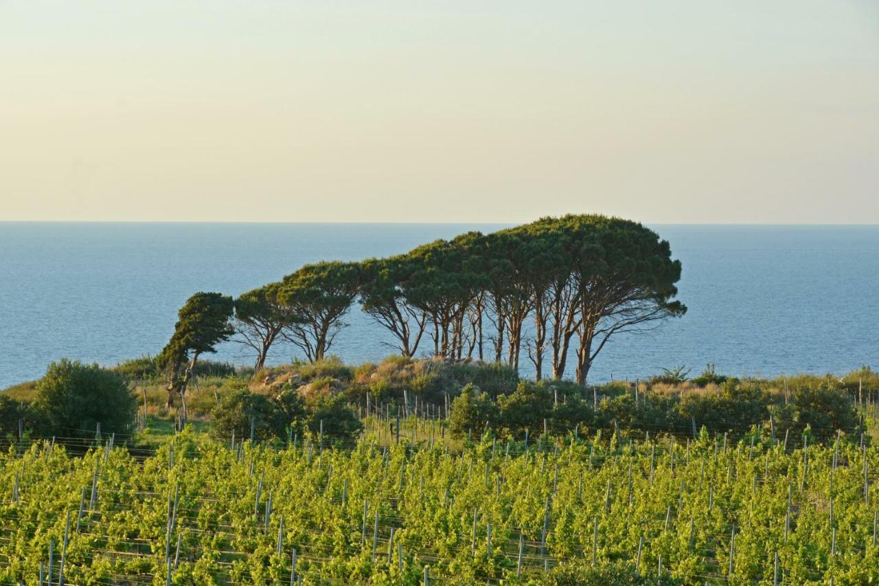 Tenuta Rasocolmo Messina Exteriér fotografie